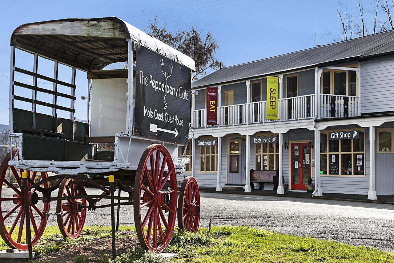Mole Creek Guesthouse Eksteriør billede