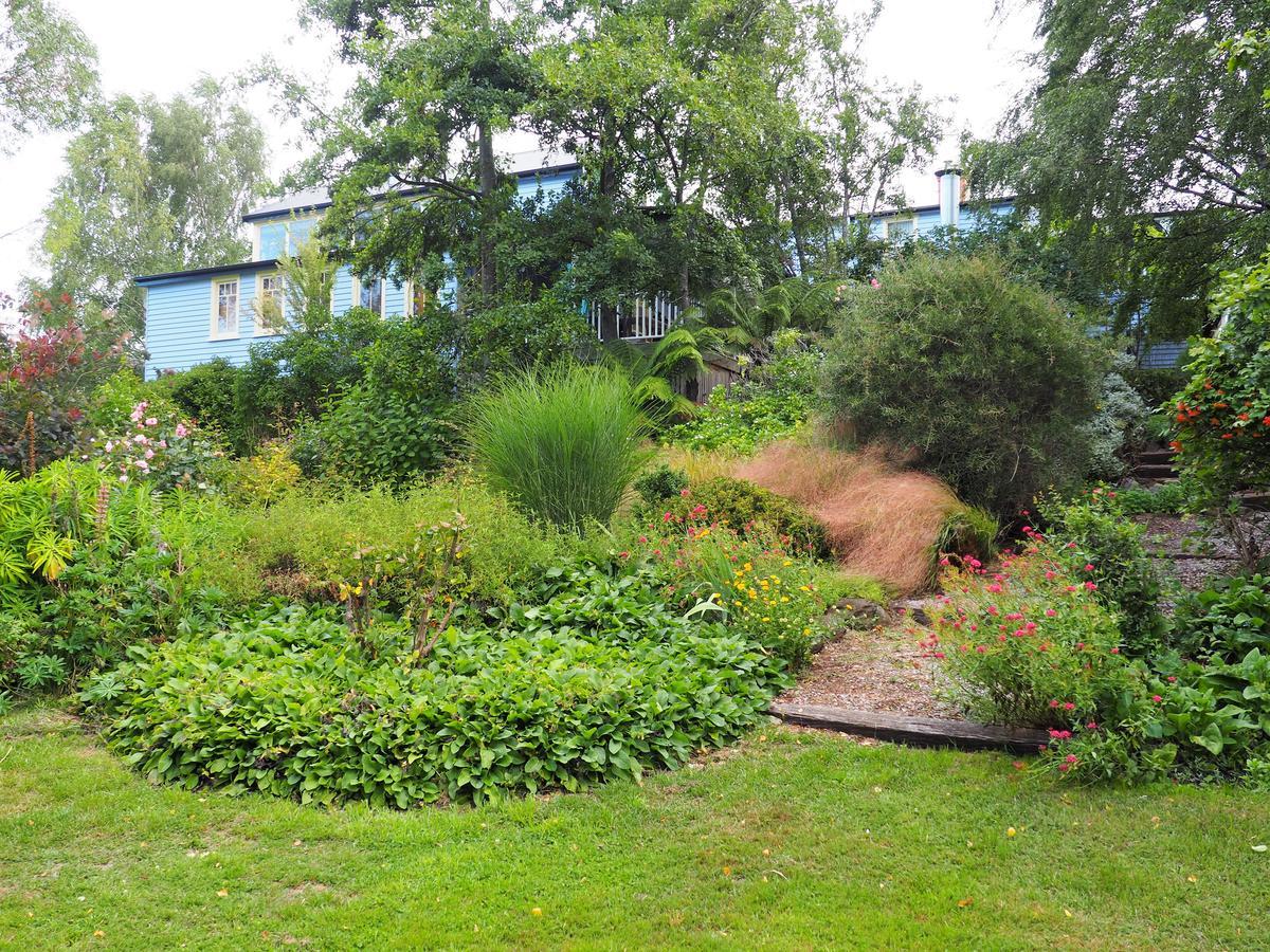 Mole Creek Guesthouse Eksteriør billede