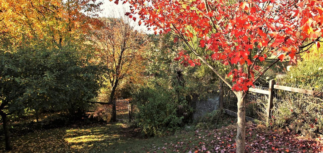 Mole Creek Guesthouse Eksteriør billede